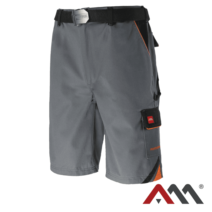 PROFESSIONAL Shorts / Gray
